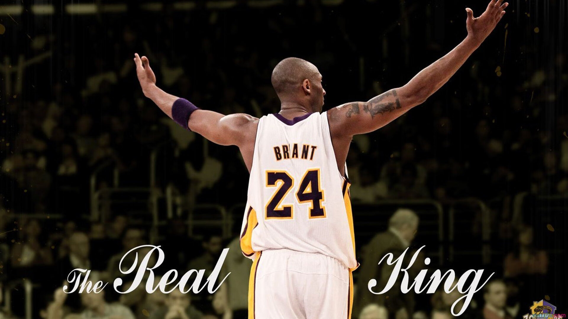 争夺晋级,谁能夺得季后赛门票?,季后赛夺冠热门